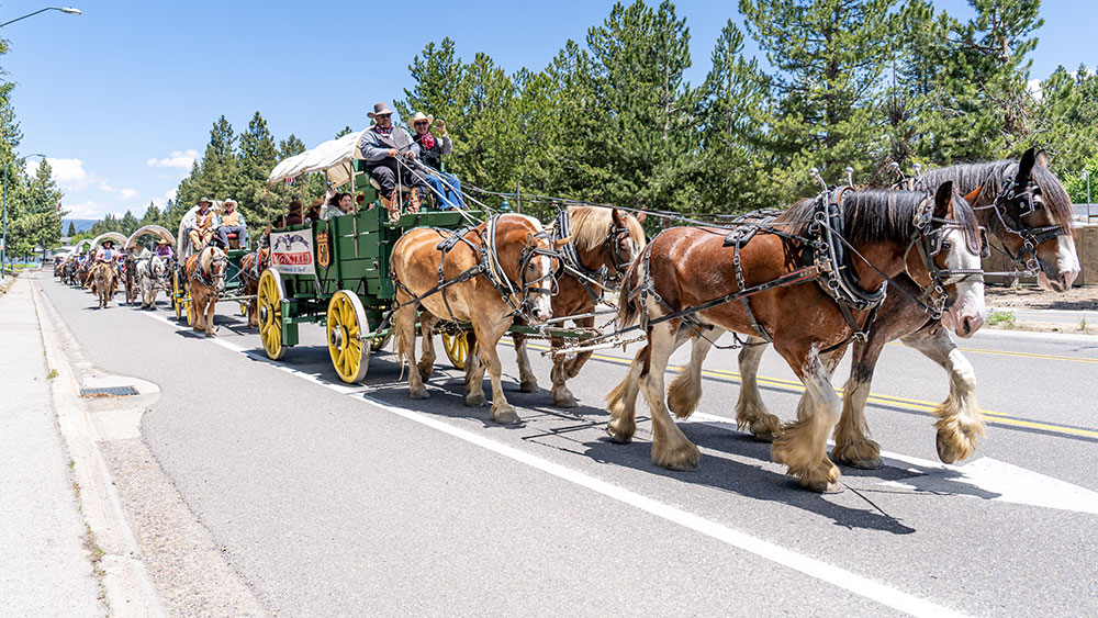 Wagon Train