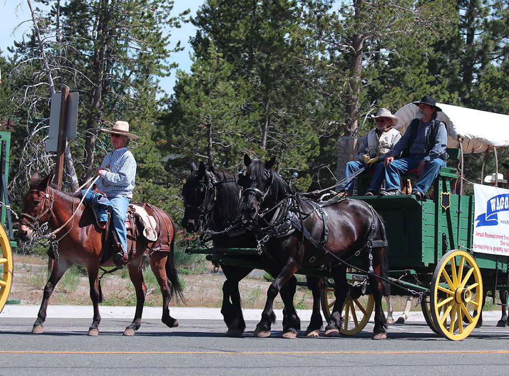 Wagon Train